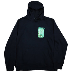 FLY OUTSIDE THE JAR HOODIE
