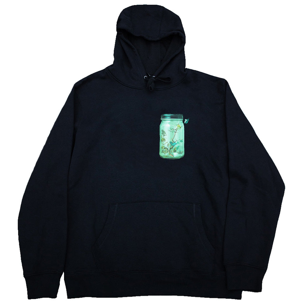 FLY OUTSIDE THE JAR HOODIE