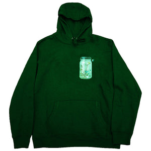 FLY OUTSIDE THE JAR HOODIE
