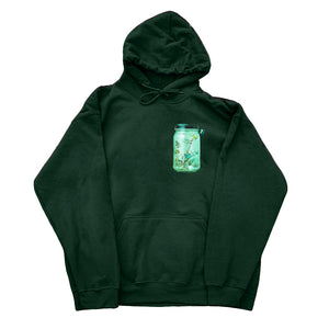 FLY OUTSIDE THE JAR HOODIE