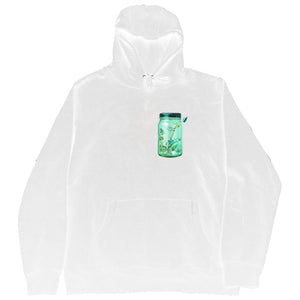 FLY OUTSIDE THE JAR HOODIE