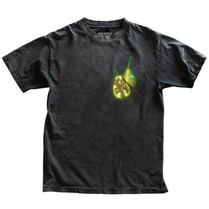 DFKT FRUITS TEE
