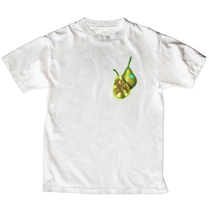 DFKT FRUITS TEE