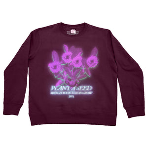 PLANT A SEED CREWNECK
